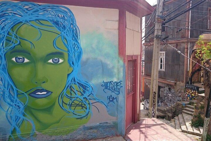Valparaiso and Viña del Mar Full-Day Private Guided Tour