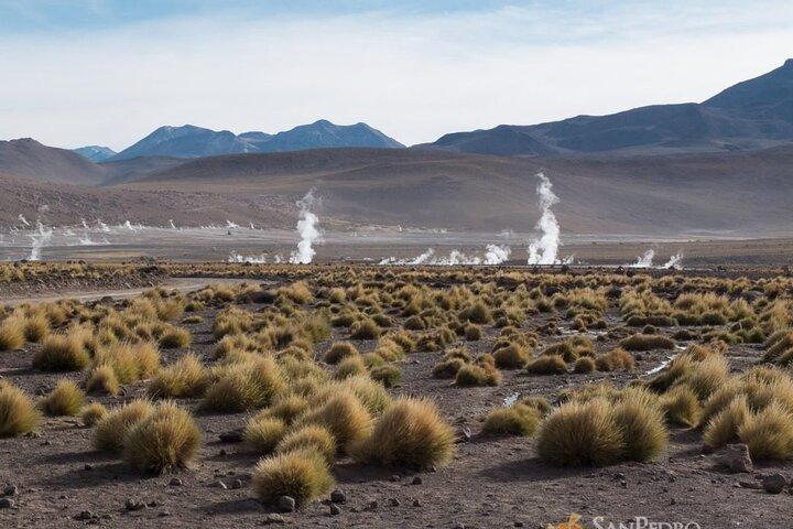 Tour durch die Tatio-Geysire