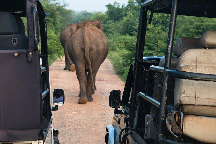 Tour di 2 giorni a Bentota Galle e Yala da Colombo