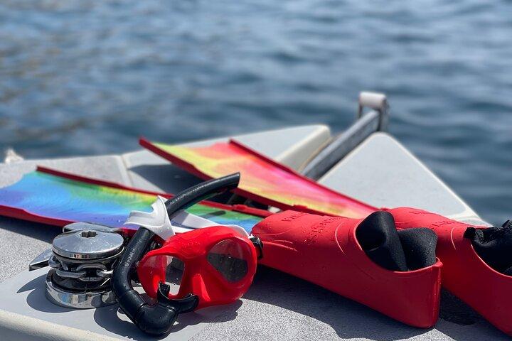 Tour Privado de 3 horas de Snorkeling perto de Monte Cristo de Marselha com Guia