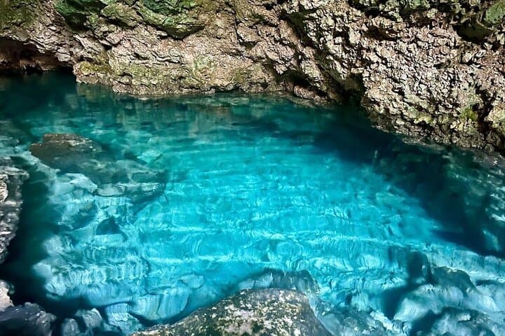 Jozani Forest; Kuza Cave; Paje Beach; The Rock; Salaam Cave Tour