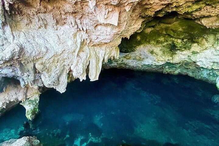 Jozani Forest; Kuza Cave; Paje Beach; The Rock; Salaam Cave Tour