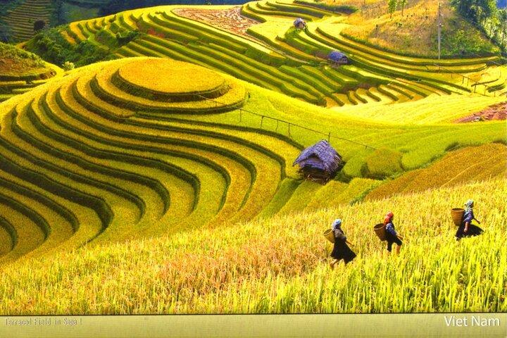 2 dagar 1 natts vistelse Sapa Trekking Tours