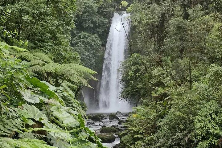 Costa Rica-dagstur med frokost