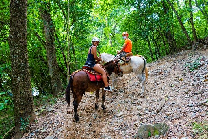 Puerto Vallarta Canopy Tour : Seilrutschen und Maultierfahrt in der Sierra