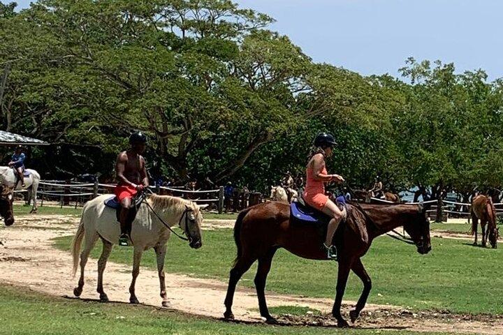 Zipline, ridetur, ATV og katamaran fra Montego Bay
