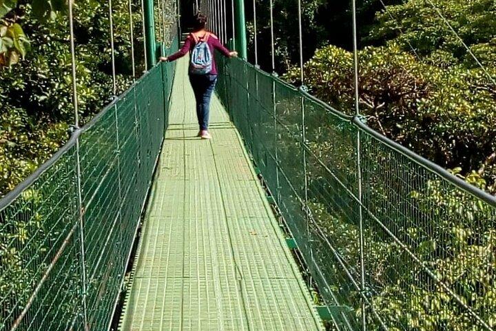Día completo a Monteverde desde San José con Canopy y reptiles observando a los anfibios