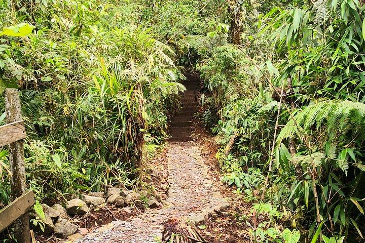 Celeste River Waterfall, Volcano Rainforest Hike & Exuberant Tour i La Fortuna