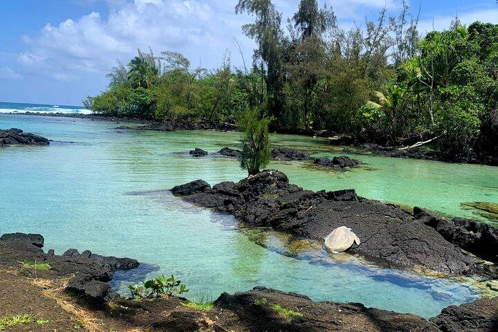 Tour della città di Hilo Esperienza Hop on Hop off