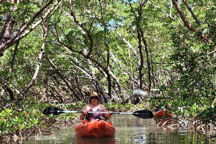 Noleggio kayak e SUP - Big Hickory Island - Fort Myers Beach, FL