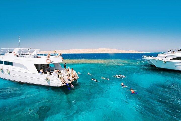 Hurghada : Dolphin House Satayeh Reef Snorkeling Red Sea Trip