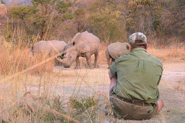 11 dias Africano Big 5 com Gorilla Trekking Safari em Uganda.