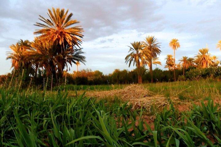 Tour privato dell'oasi di Ali Baba e della vecchia medina di Taroudant