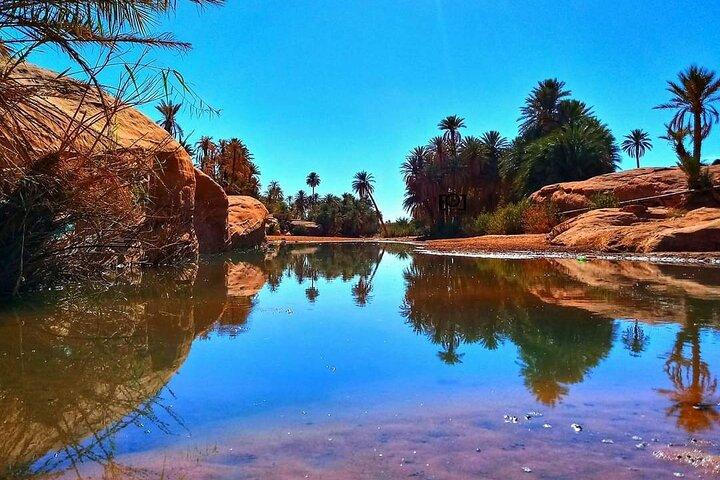 Tour privato dell'oasi di Ali Baba e della vecchia medina di Taroudant