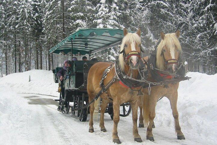 Private Pferdeschlittenfahrt ab Salzburg