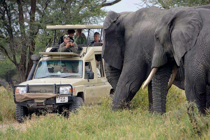 En eksklusiv Tarangire Safari