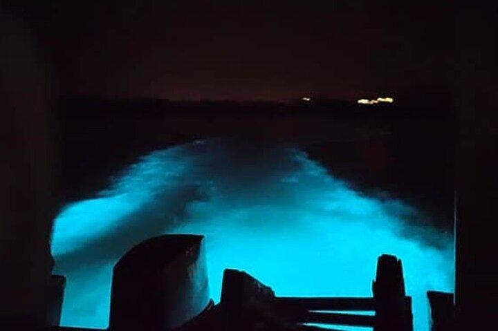 Private Luminous Blue Lagoon Night Tour in Falmouth