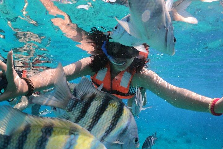 Excursion en bateau Crystal avec plongée en apnée et boissons à Cozumel