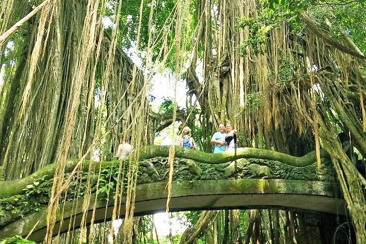 Bali Holy Bathing Ritual and Ubud Highlights tour