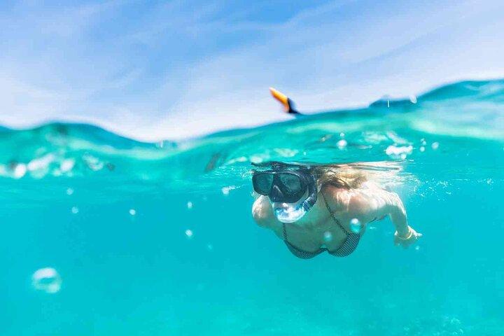 Waikiki aventura de snorkeling