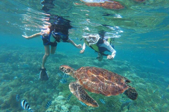Waikiki aventura de snorkeling