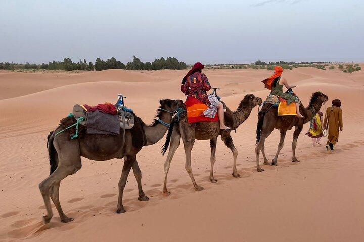 3-Day Sahara Expedition: Atlas, Kasbahs & Luxury Glamping