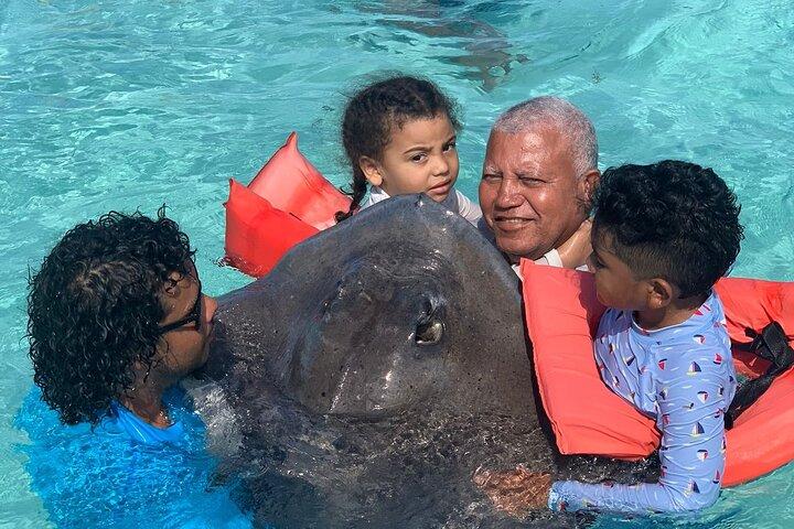 Fun Family 3 ferma StingrayCity Adventure