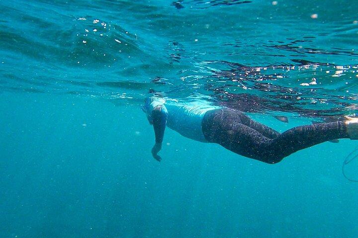 Stand Up Paddle e Snorkeling Tour de Gran Canaria com Transfers zona sul