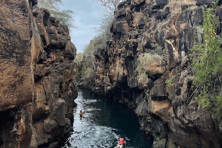 4 dages tur i Galapagos Las Grietas og Tortuga Bay