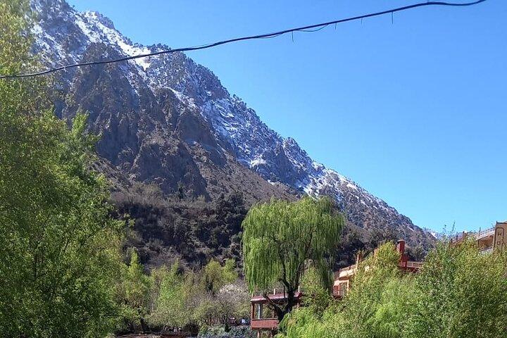 Ourika Valley and Atlas Mountains Day Trip
