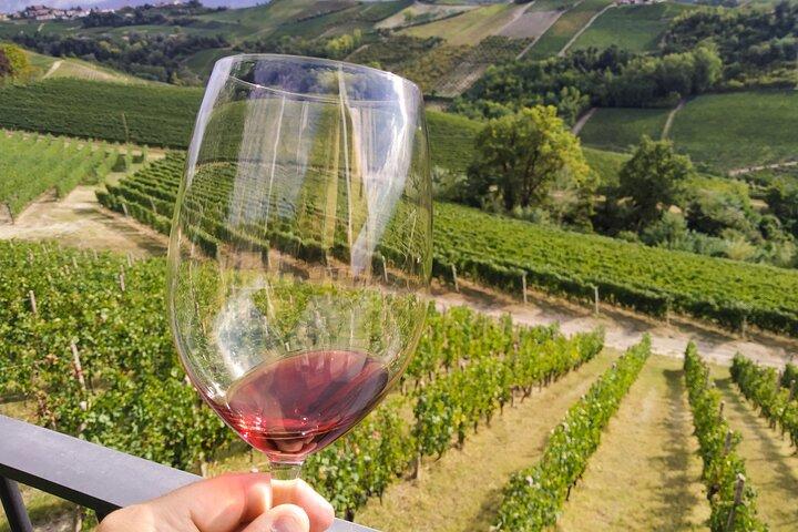 Private E-bike Tour " Langhe del Barbaresco " - Asphalt only