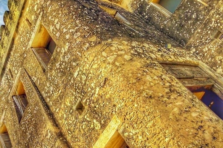 Stone Town Tour, Jozani Forest, Kuza Cave Tour, Paje Beach, The Rock Restaurant