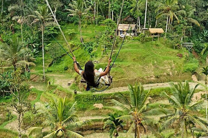 Ubud Hot Springs and Waterfall Private Guided Tour