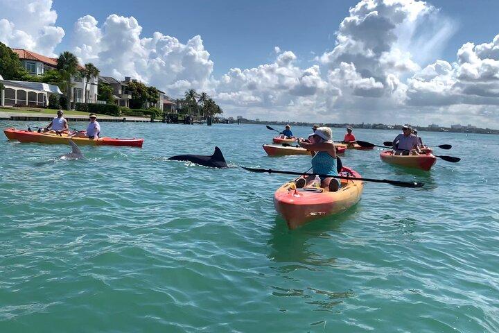 Aventura de caiaque guiada pelo túnel de mangue de Sarasota