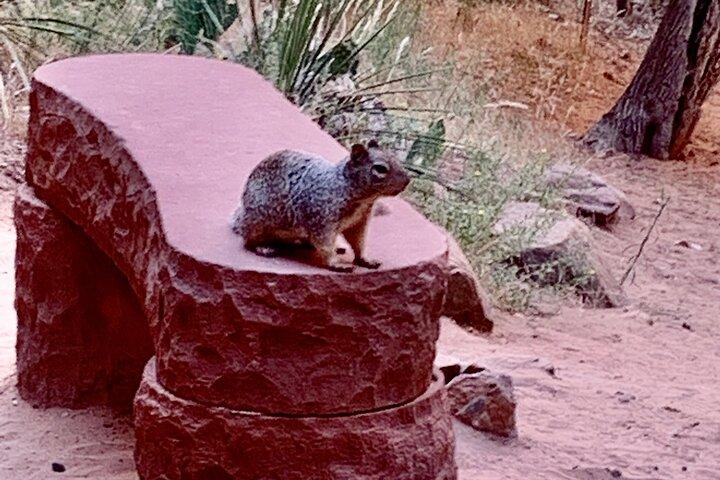 Zion National Park Small Group Tour från Las Vegas