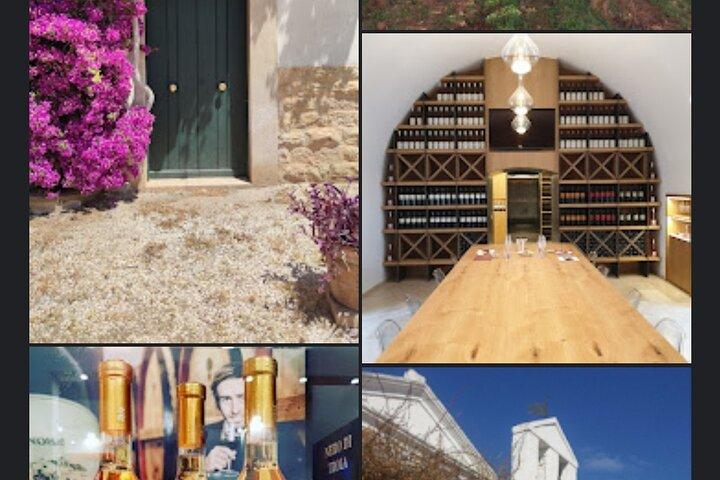 Vineyard Wine Tasting &soft lunch &transfer included