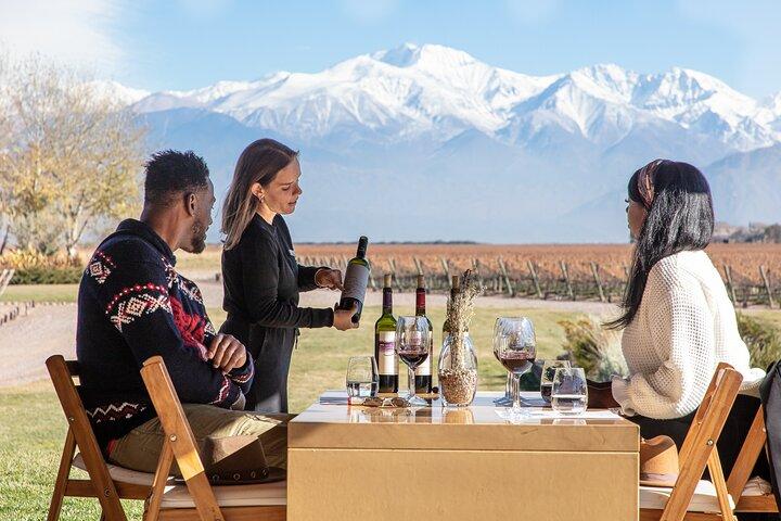 Lujan Deluxe - Hel dag - Premium vintur med gourmetfrokost