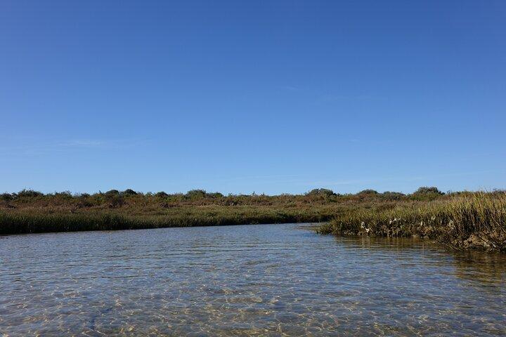 Aluguer de SUP com Acesso ao Parque Natural das Ilhas da Ria Formosa