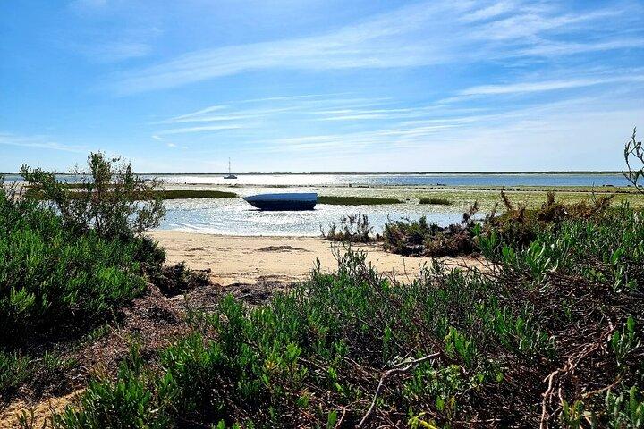 Excursion de 2 heures en kayak dans le parc naturel de Ria Formosa