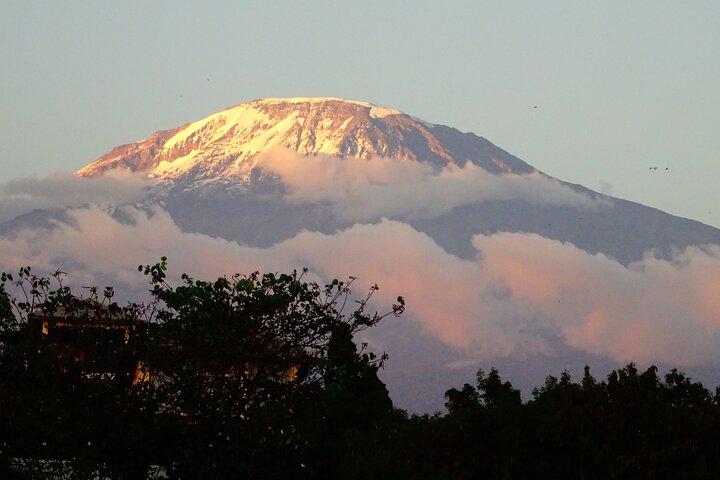 Excursión de un día en bicicleta eléctrica a la meseta de Shira del Kilimanjaro