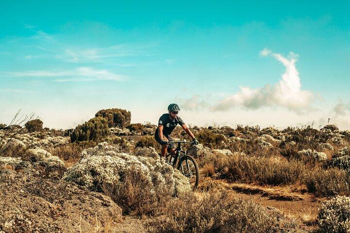 Excursión de un día en bicicleta eléctrica a la meseta de Shira del Kilimanjaro