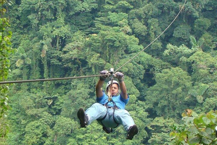 Monteverde Cloud Forest Hike og Hanging Bridges Tour fra Guanacaste