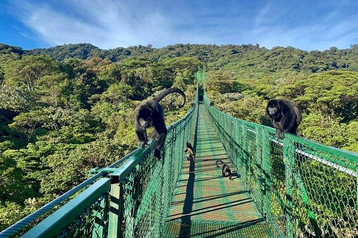 Hanging Bridges, Monteverde