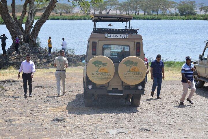 7 dages Tanzania uforglemmelig komfortsafari