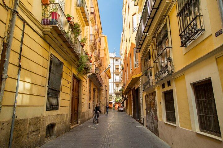 PRIVAT Walking Tour Historical Center med lokal ekspert