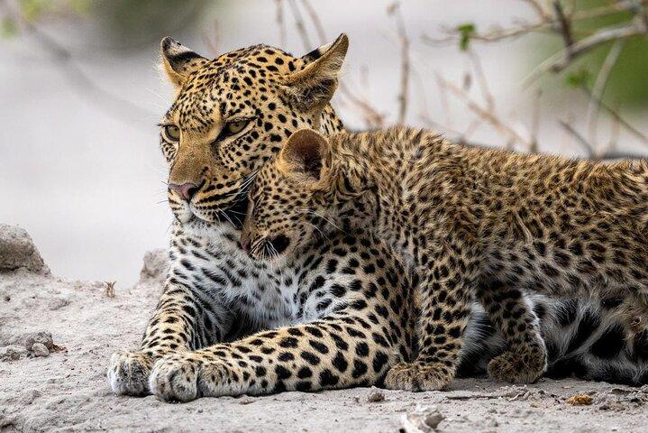 4 días Best Budget Tanzania Camping Safaris