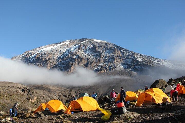 6 dagar: Vandring Kilimanjaro via Machame Route