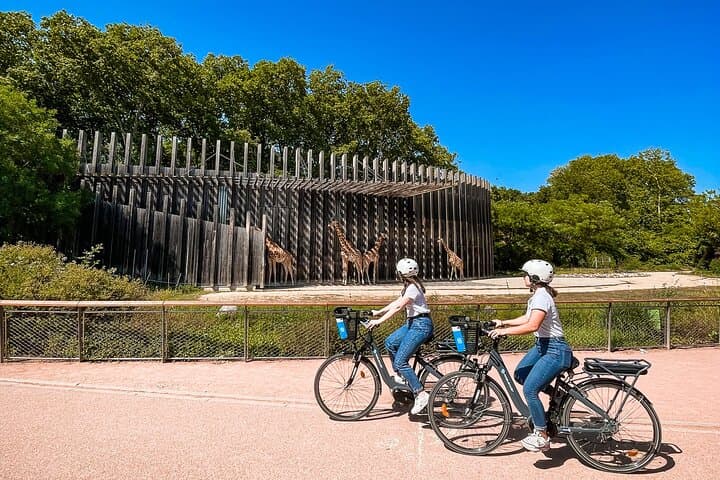 Electric bike ride in the Parc de la Tête d'Or - 2h