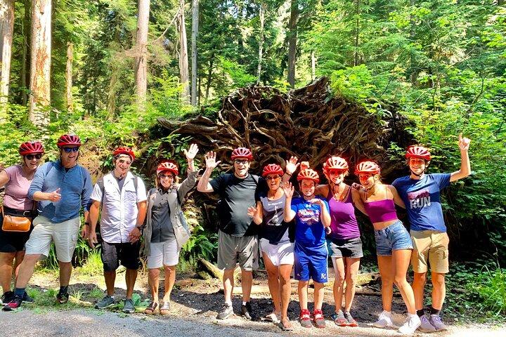 Excursion à vélo de 3 heures au parc Stanley de Vancouver