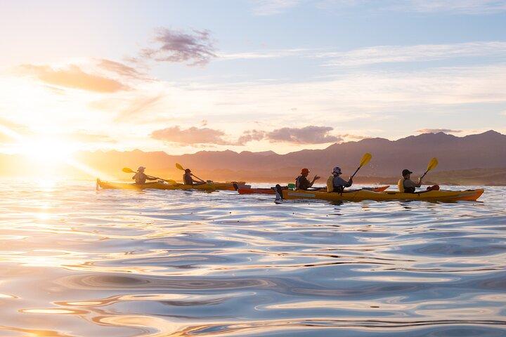 Sunset Evening Kayaking Tour - Kaikoura